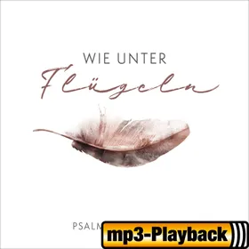 Produktbild des Artikels Du enttäuschst mich nicht (Playback ohne Backings) (MP3-Track - Download)