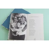 Stimmungsbild zu 77 mal Trost