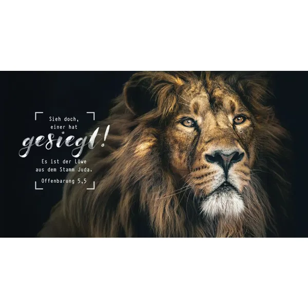 Produktbild des Artikels Metallschild "Löwe" ()