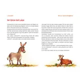 Stimmungsbild zu Lukas auf dem Weg nach Bethlehem - Folien Adventskalender