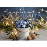 Stimmungsbild zu Postkartenbox "Gesegnete Festtage"