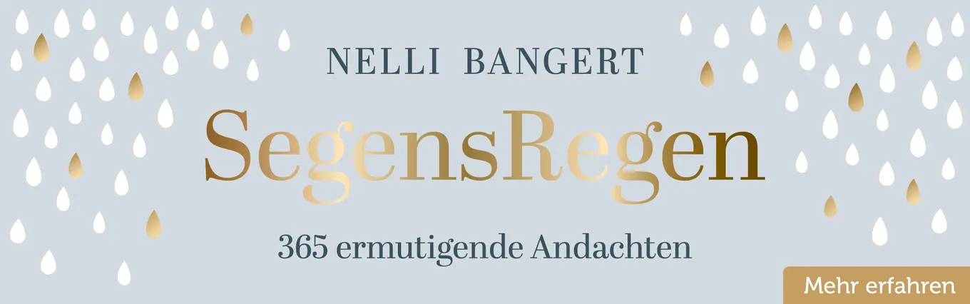 Banner zu SegensRegen