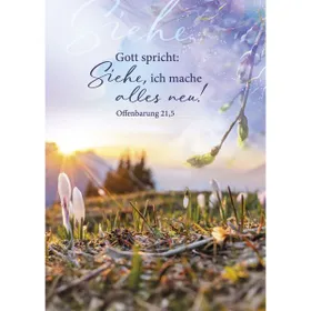 Produktbild des Artikels Jahreslosung 2026 - Postkarten, 12 Stk Idea Edition (Schreibwaren)