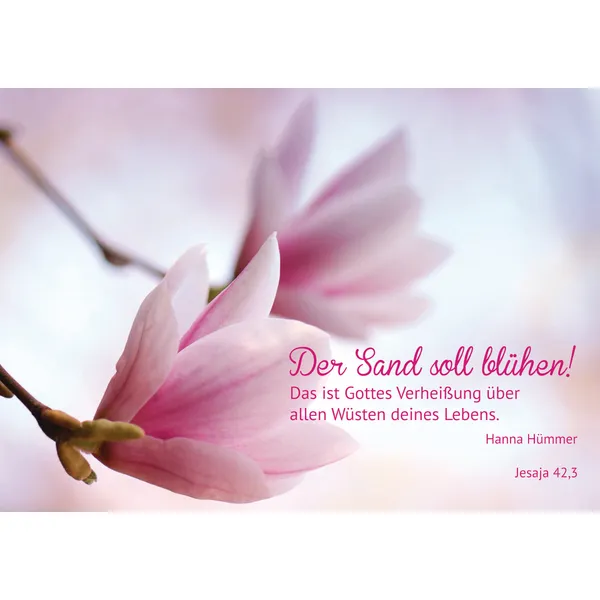 Produktbild des Artikels Faltkarte "Der Sand soll blühen! " - 5 Stück (Schreibwaren)