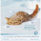 Stimmungsbild zu Katzen-Tatzen 2026 - Wandkalender