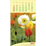 Stimmungsbild zu Vitamine fürs Herz 2026 - Wandkalender