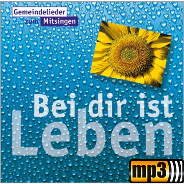 Produktbild des Artikels Noch viel mehr (MP3-Track - Download)
