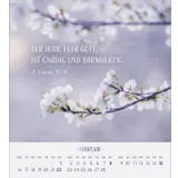 Stimmungsbild zu Zarte Blumengrüße 2026 - Tischkalender