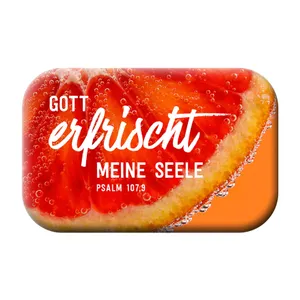 Produktbild des Artikels Magnet - Gott erfrischt meine Seele (Schreibwaren)