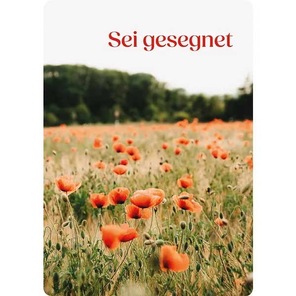 Produktbild des Artikels Postkarte - Sei gesegnet (Schreibwaren)