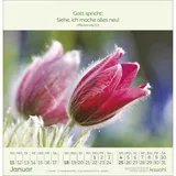 Stimmungsbild zu Blumengrüße 2026 - Wandkalender