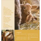 Stimmungsbild zu Sei behütet und geborgen 2026 - Aufstellkalender