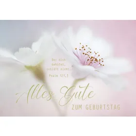 Produktbild des Artikels Postkarten "Alles Gute zum Geburtstag" - Blüte 12 Stück (Schreibwaren)