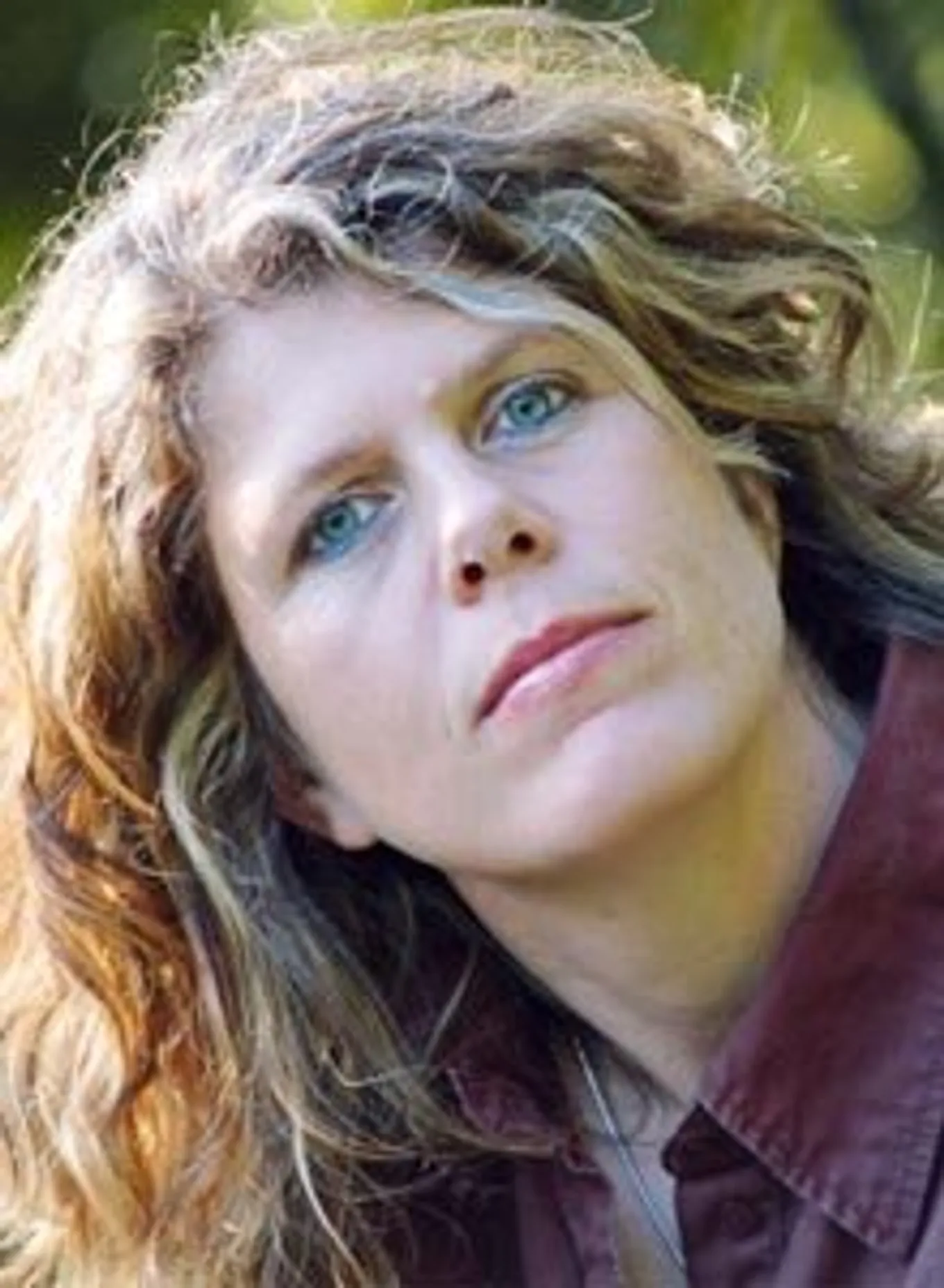 Bild zum Beitrag - Zwischen den Zeilen ...