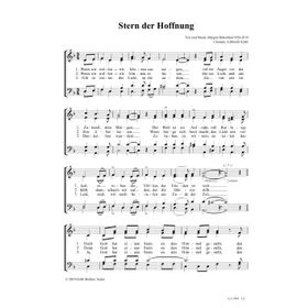 Produktbild des Artikels Stern der Hoffnung (Noten - Download)
