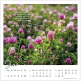 Stimmungsbild zu Kleine Auszeit im Grünen 2026 - Postkartenkalender