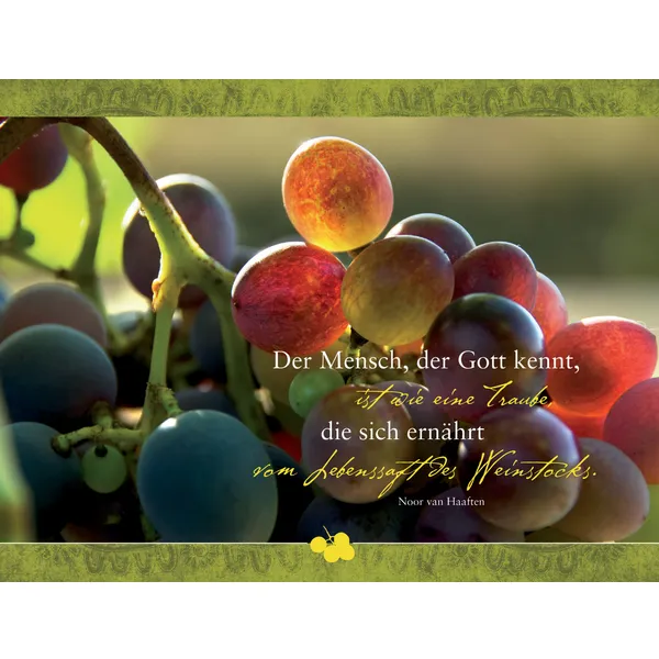 Produktbild des Artikels Faltkarte "Der Mensch, der Gott kennt, ist wie eine Traube..." - 5 Stück (Schreibwaren)