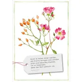 Stimmungsbild zu GartenGlück - Postkartenset