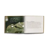 Stimmungsbild zu Über den Abschied hinaus