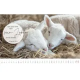 Stimmungsbild zu @home 2026