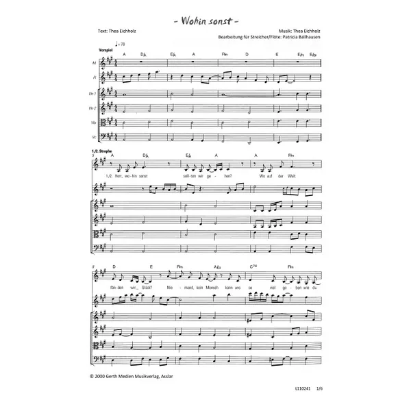 Produktbild des Artikels Wohin sonst (Streicher / Flöte) (Noten - Download)