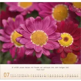 Stimmungsbild zu Blumen-Impressionen 2026 - Wandkalender