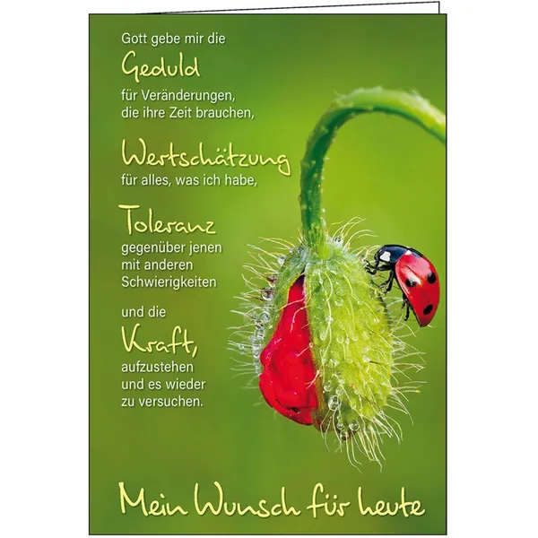 Produktbild des Artikels Faltkarte: Gott gebe mir die Geduld - Neutral (Schreibwaren)