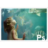 Stimmungsbild zu Ps. - Postkartenbuch