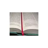 Stimmungsbild zu Die Bibel - Taschenausgabe, Kunstleder, Dunkelgrün