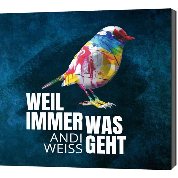 Produktbild des Artikels Weil immer was geht (Audio - CD)