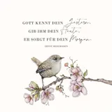 Stimmungsbild zu AugenBlicke - Aufstellbuch