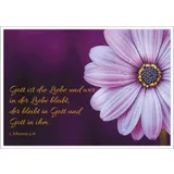 Stimmungsbild zu Postkartenset: Gott ist verlässlich und gnädig