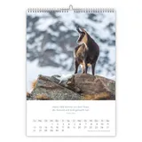 Stimmungsbild zu Natur 2027
