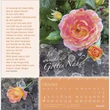 Stimmungsbild zu Rosenduft mit lieben Wünschen 2026 - Postkartenkalender