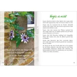 Stimmungsbild zu Am Brunnen