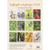 Stimmungsbild zu Beflügelt und getragen 2026 - Wandkalender
