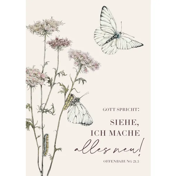 Produktbild des Artikels Jahreslosung 2026 - Postkarten (10er-Set) (Schreibwaren)