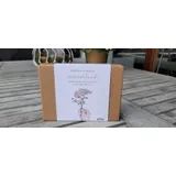 Stimmungsbild zu SegensWünsche