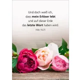 Stimmungsbild zu Du bist geliebt - Blechdose