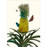 Stimmungsbild zu Grüße aus dem Paradies - Postkartenbox