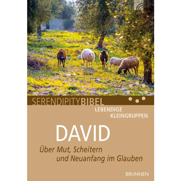 Produktbild des Artikels David (Buch - Geheftet)