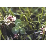 Stimmungsbild zu Glücksbotschaften - Postkartenbox