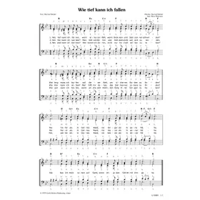 Produktbild des Artikels Wie tief kann ich fallen (Noten - Download)