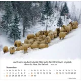 Stimmungsbild zu Ein Leben für die Schafe 2026 - Tischkalender