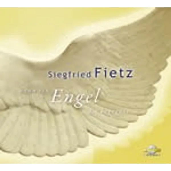 Produktbild des Artikels Wenn ein Engel dir begegnet (Audio - CD)