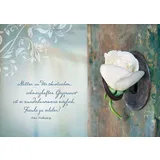 Stimmungsbild zu Tausend Geschenke - Postkartenbuch