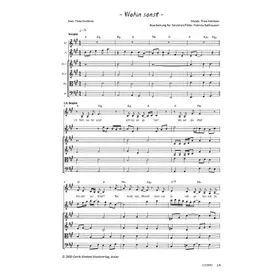 Produktbild des Artikels Wohin sonst (Streicher / Flöte) (Noten - Download)