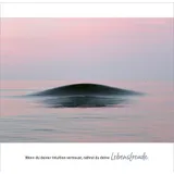 Stimmungsbild zu Meerblick - Aufstellbuch