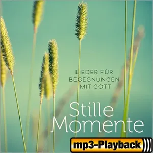 Produktbild des Artikels Stille Momente (Playback ohne Backings) (MP3-Album - Download)
