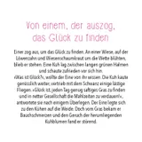 Stimmungsbild zu Für einen besonderen Wunsch - Geldscheinbox